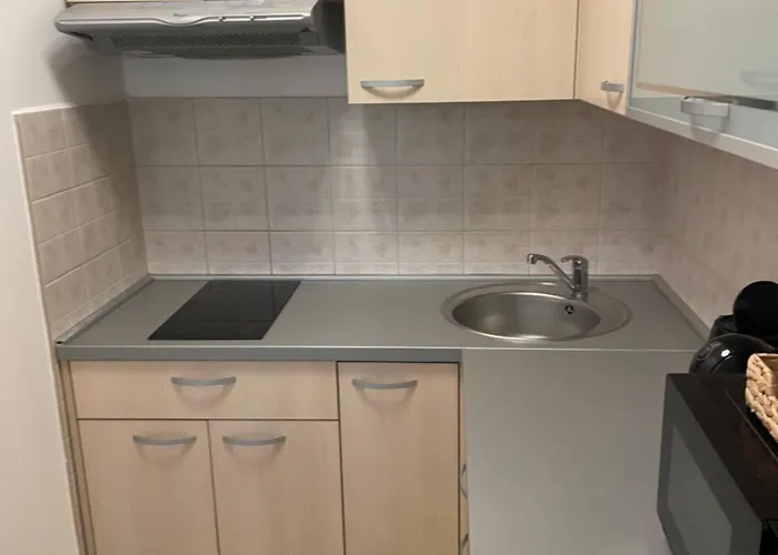 公寓 Ary's App 塞尔瑟